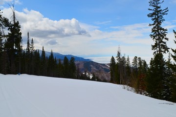 Mountain taiga landscape in winter.