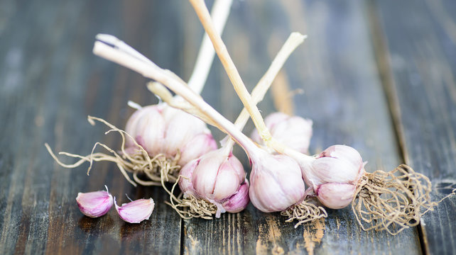 Fresh Garlic On Wooden, Food Ingredient, Herb And Spice