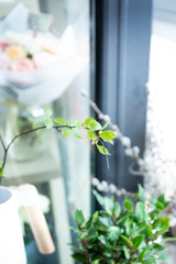 flower, flowers, wedding, bouquet, white, table, vase, decoration, green, rose, beautiful, floral, nature, yellow, plant, interior, beauty, red, home, celebration, love, pink, blossom, roses, anemone,