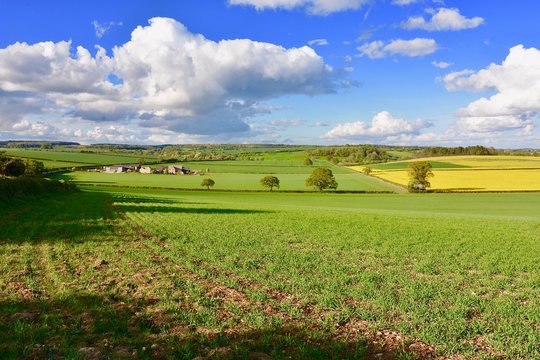 Farmland Near Cheltenham, England.