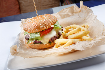 Food on white plate. Hamburger. French fries.