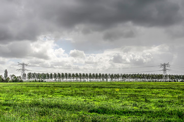 Fototapeta na wymiar Landscape in the Alblasserwaard polder in the Netherlands with grass meadows, power lines and a row of trees