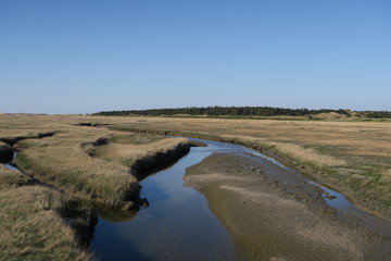 Priel und Salzwiesen im Ortsteil Bad in Sankt Peter Ording an der Nordseeküste