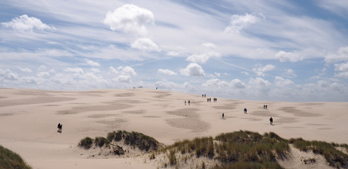 Wanderdüne Rabjerg Mile in Dänemark - Panorama