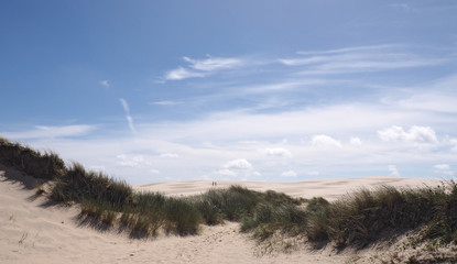 Wanderdüne Rabjerg Mile in Dänemark - Panorama