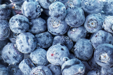 Fresh blueberries in water