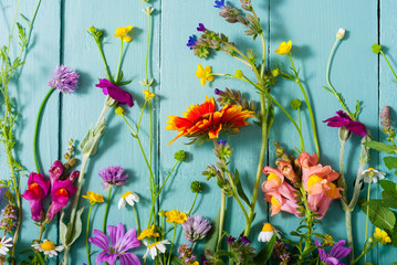 herbal and wildflowers on blue wooden table background