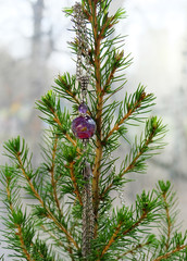 Murano glass pendant on a chain on a Christmas tree. Composition with a plant and handmade jewelry.