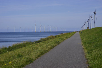 Wind turbins on the shore 