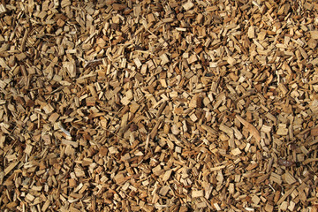 Fototapeta premium Wood chips background.