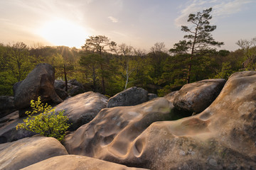 Fototapeta premium Warm weather is in the mountain forests of Ukrainian Carpathians on the rocks of the Dovbush