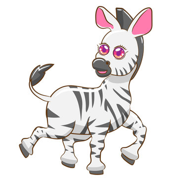 zebra vector clipart