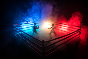 Blurred background. mma fight octagon stage. ring extreme Sport mixed martial arts competition tournament - Powered by Adobe