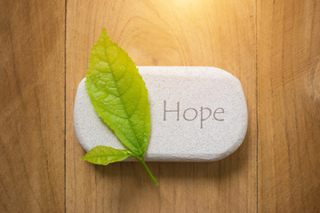 Words "Hope" painted on river stone over rustic wooden background, vignette and vintage tone with copy space for your text,Hope concept