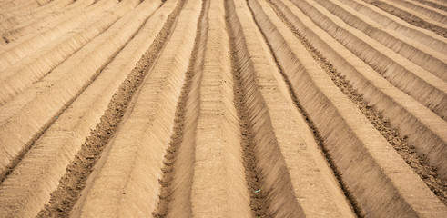 agriculture plowed field