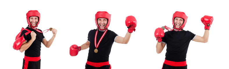 Funny boxer isolated on the white