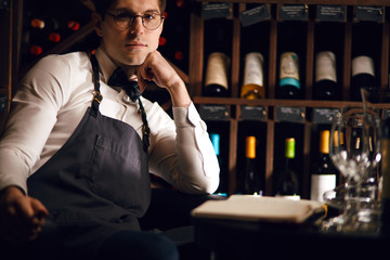 Portrait of young confident wine store owner dressed in white shirt and dark apron with bow tie...