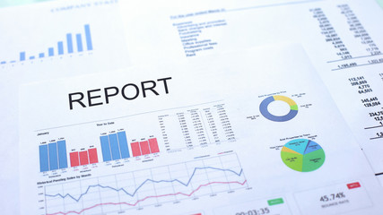 Report lying on table, graphs charts and diagrams, official document, statistics