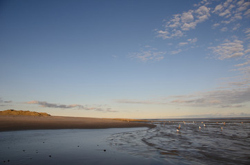 view to the north sea beach, island langeoog
