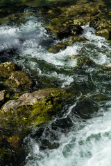 Fresh Water Of An Alpine River