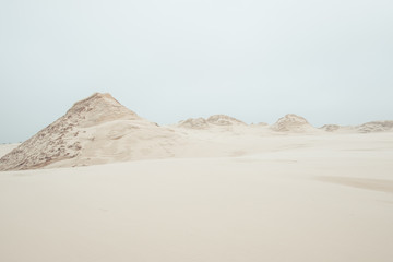 Szczyty pustynnych ruchomych wydm. Ruchome wydmy w Łebie