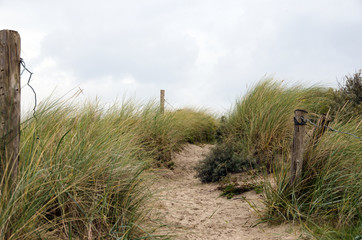 sand way to the North sea beach and beautiful sky, north sea, island langeoog