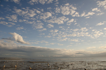 view to the north sea beach, island langeoog