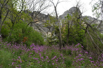 Outdoor and trekking in nature, italian hills 