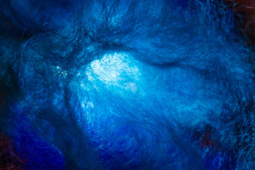 Abstract Concept of a Big Bang, Worm Hole/ in Space, Time Travelling or a Neural Network in Living Creatures