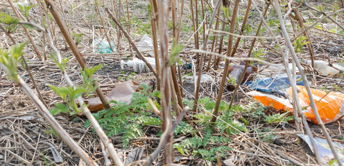 Plastic trash. Plastic bottles. Nature and plastic.