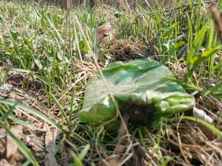 Plastic trash. Plastic bottles. Nature and plastic.