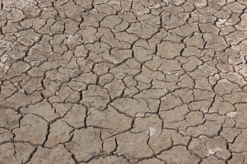 Drought, earth cracks, natural disaster