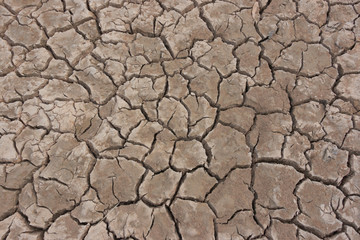 Drought, earth cracks, natural disaster