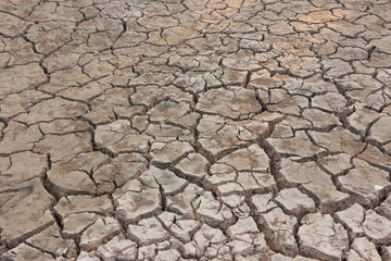 Drought, earth cracks, natural disaster