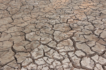 Drought, earth cracks, natural disaster