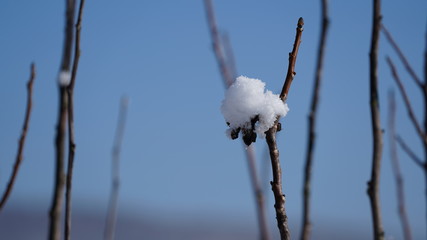 Wintertime