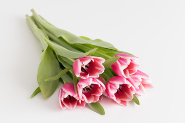 Bouquet of pink tulips on a white table.