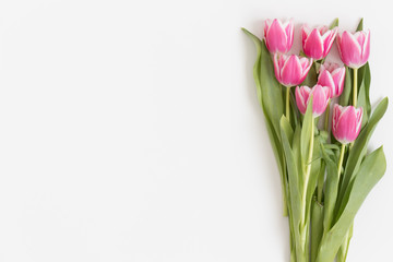 Top view of bouquet of pink tulips on a white table. Flat lay with blank copy space.