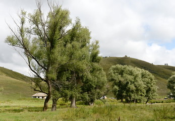 Mountain village Generalka of Altai Krai