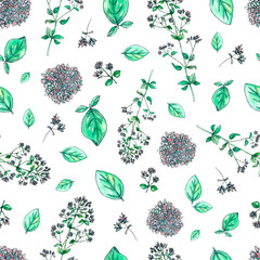 Seamless pattern with hand painted watercolor oregano isolated on white. Repeating background with herbs for textile, packaging or scrapbooking.