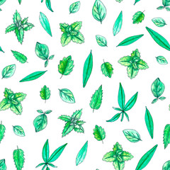 Seamless pattern with hand painted watercolor sage, mint, balm, oregano leaves isolated on white. Repeating background with tea herbs for textile, packaging or scrapbooking.