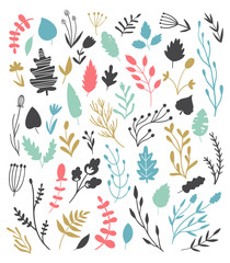 Set of vector floral elements in Doodle, Scandi styles. Different plant species.