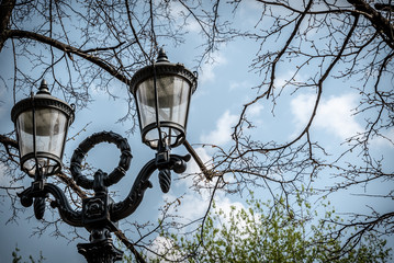 View of the street lamp in the park on a background of trees and blue sky. Close up.