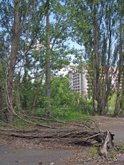 Chernobyl zone, Ukraine, Pripyat