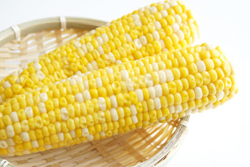 夏の食べ物　とうもろこし