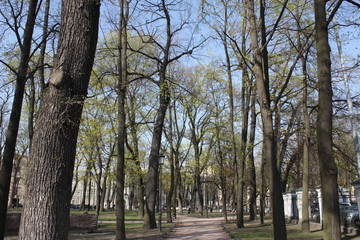  landscape of the spring city Park  