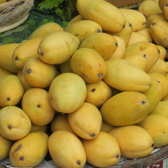fresh, raw, yellow fruits, mangoes at a street market in Vietnam