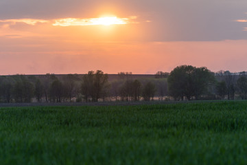 Obraz na płótnie Canvas Sunset beautiful sunset field nature.