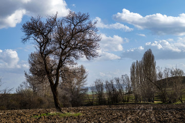 Obraz premium natural fountain waters, natural fountains for human health,