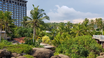 Fototapeta premium garden in Sri lanka